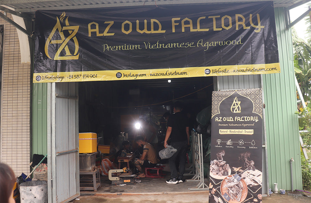 AZ OUD Vietnam: Elevating the Value of Vietnamese Agarwood to the Global Stage