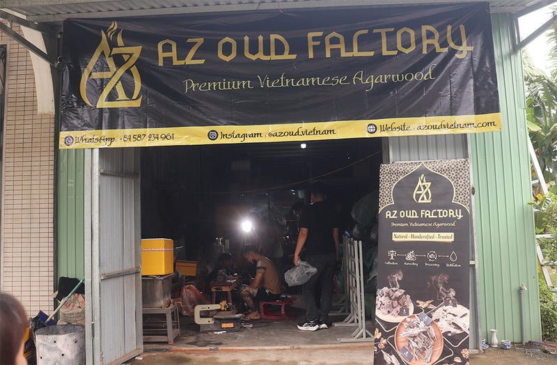 AZ OUD Vietnam: Elevating the Value of Vietnamese Agarwood to the Global Stage