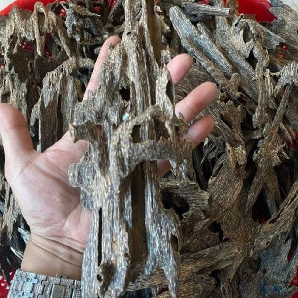 AWC1 - Ant Oud Chips Grade AAA+ ( 100g )