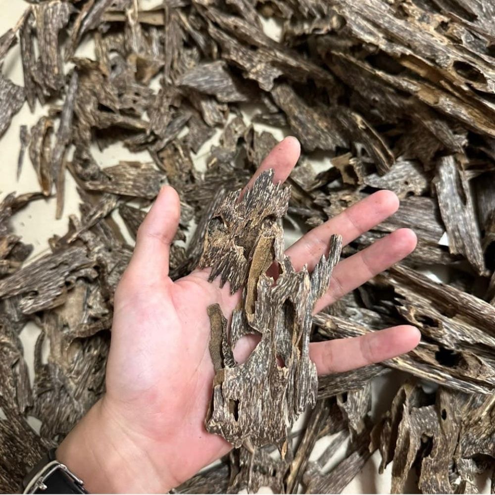 AWC1 - Ant Oud Chips Grade AAA+ ( 100g )