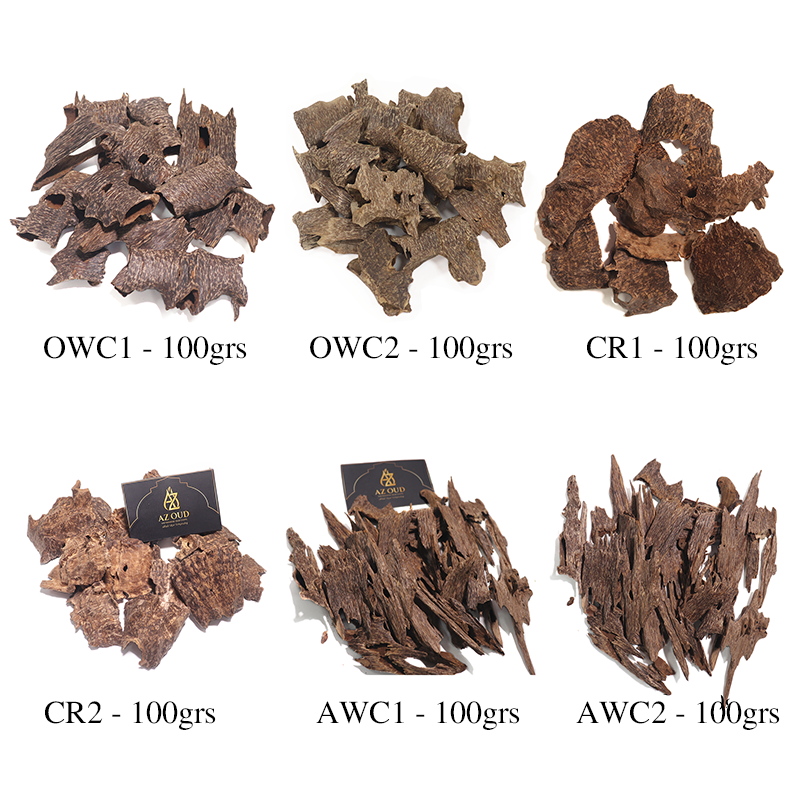 [COMBINE Trial 3] Max Discovery Set - 6 Types x 100g (Total 600g)