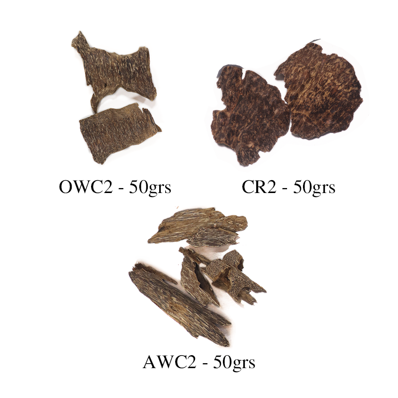 [COMBINE Trial 6] Standard Trio Set - 3 Essential Types x 50g (Total 150g)