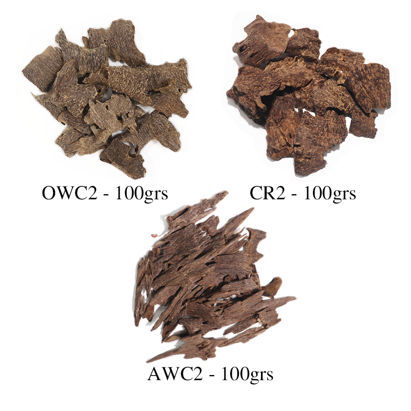 [COMBINE Trial 7] Standard Trio Set - 3 Essential Types x 100g (Total 300g)