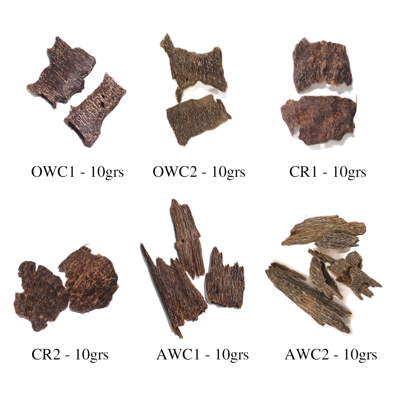 [COMBINE Trial 1] Basic Discovery Set - 6 Types x 10g (Total 60g).