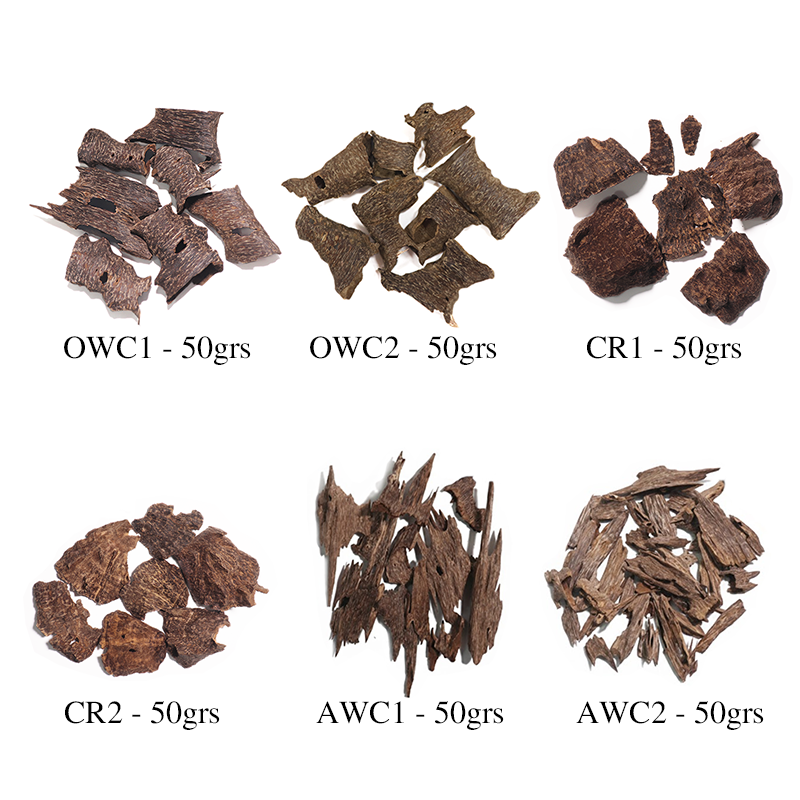 [COMBINE Trial 2] Pro Discovery Set - 6 Types x 50g (Total 300g)