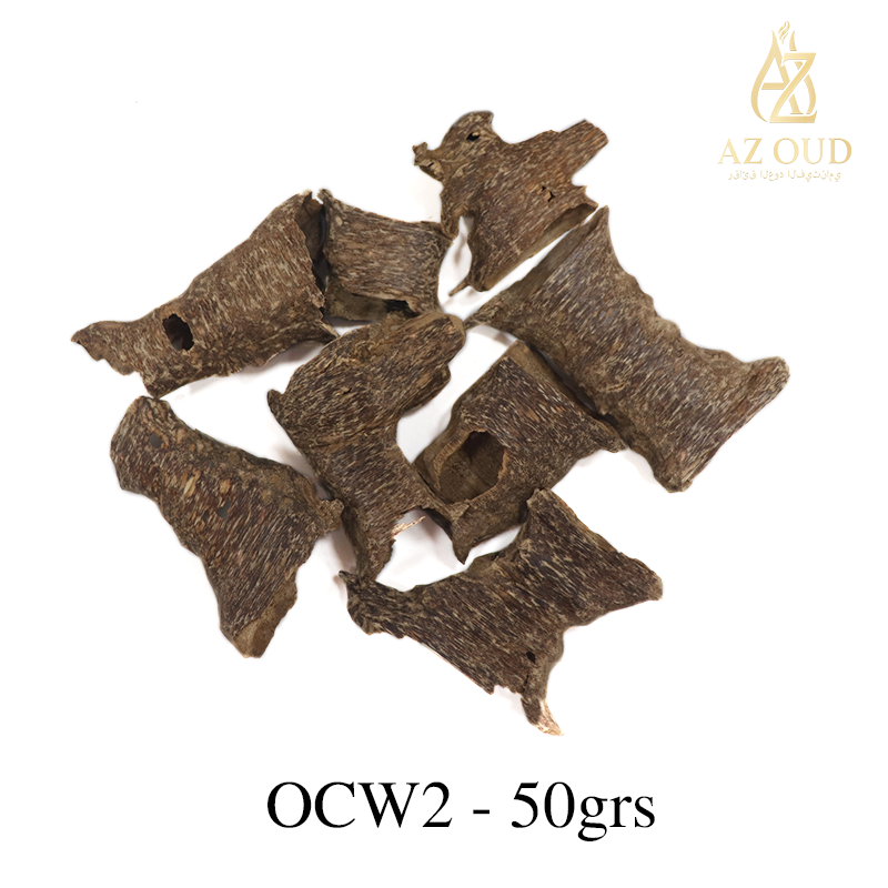 [COMBINE Trial 6] Standard Trio Set - 3 Essential Types x 50g (Total 150g)