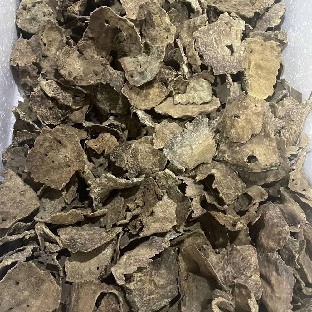 CR1 - Char Oud Grade AAA+ ( 100g )