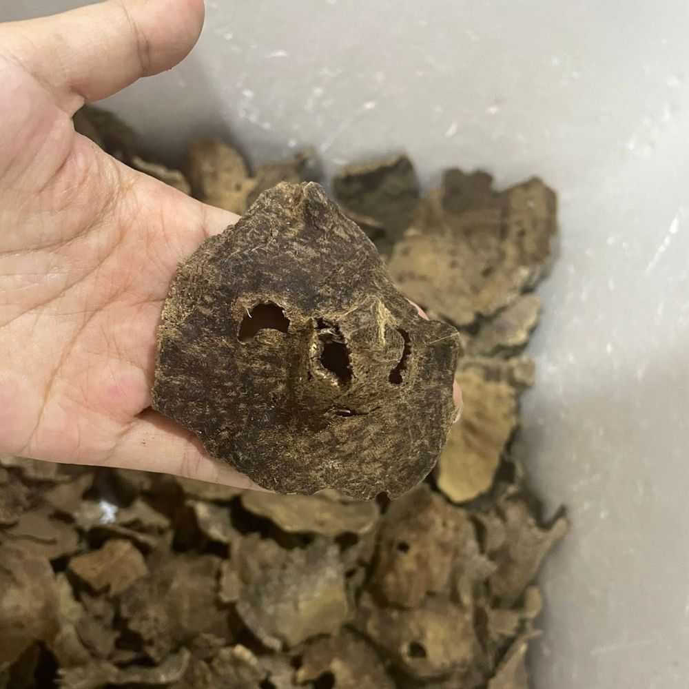 CR1 - Char Oud Grade AAA+ ( 100g )