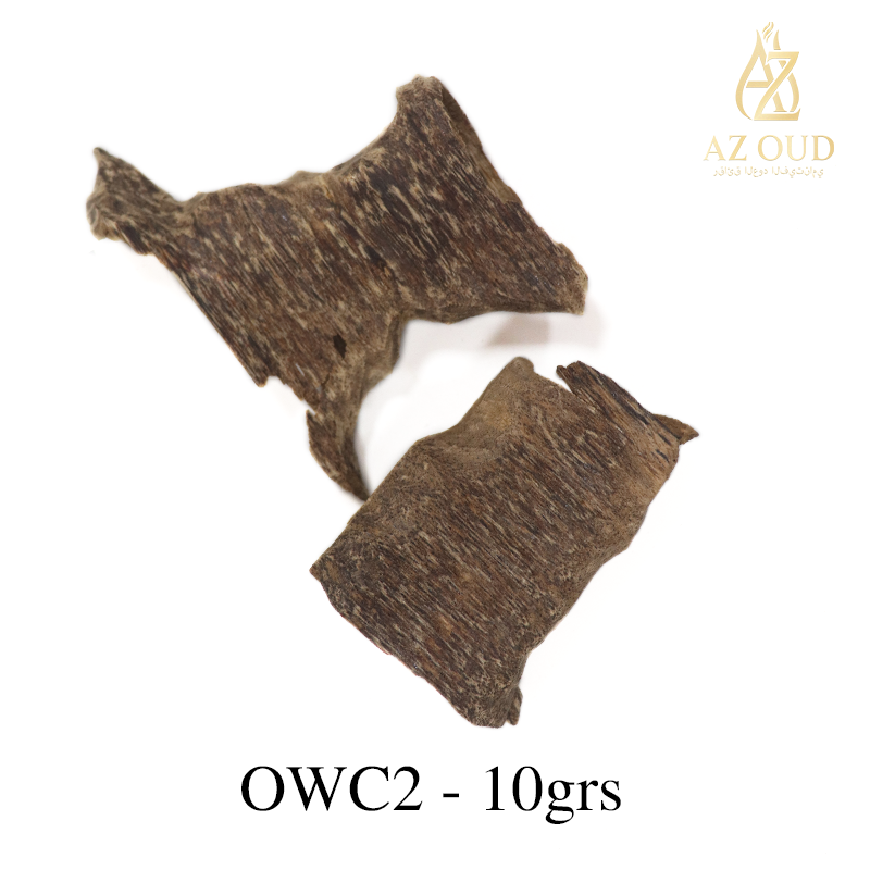 [COMBINE Trial 1] Basic Discovery Set - 6 Types x 10g (Total 60g).